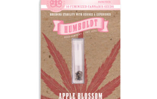 Apple Blossom Feminized Seeds