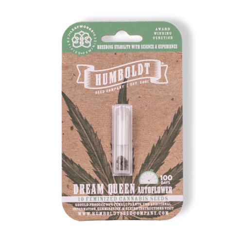 Dream Queen Autoflower Cannabis Seed Pack