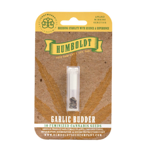 Garlic Budder Feminized Cannabis Seed Pack