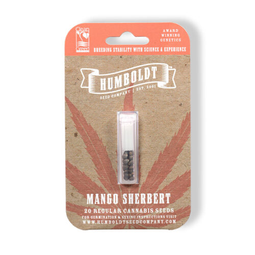 Mango Sherbert Regular Cannabis Seed Pack