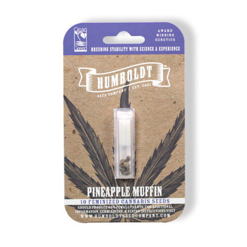 Pineapple Muffin Feminized Cannabis Seed Pack