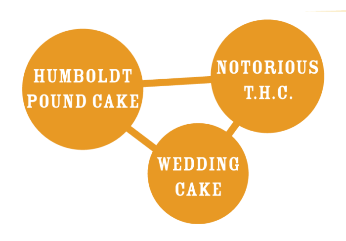 Humboldt Pound Cake Genetic Tree