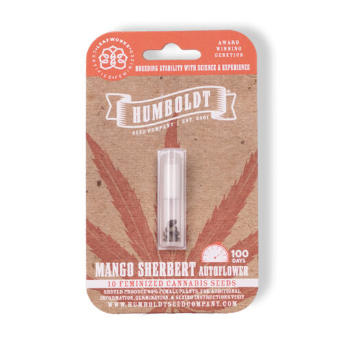 Mango Sherbert Autoflower Cannabis Seed Pack
