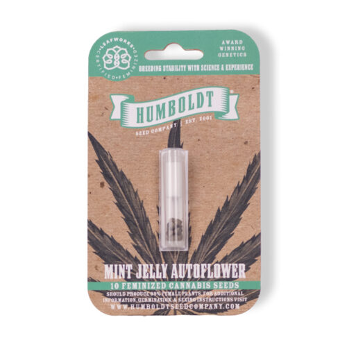 Mint Jelly Autoflower Cannabis Seed Pack