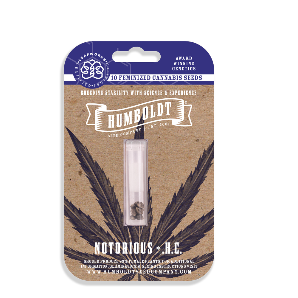Notorious Feminized Seeds