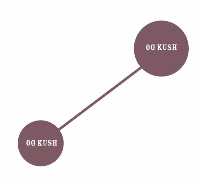 OG Kush Genetic Tree