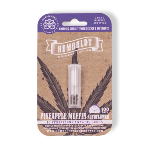 Pineapple Muffin Autoflower Cannabis Seed Pack