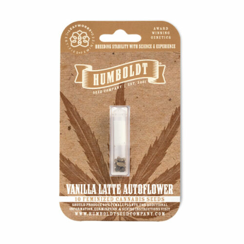Vanilla Latte Autoflower Cannabis Seed Pack