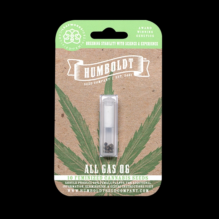 All Gas OG Feminized Cannabis Seed Pack