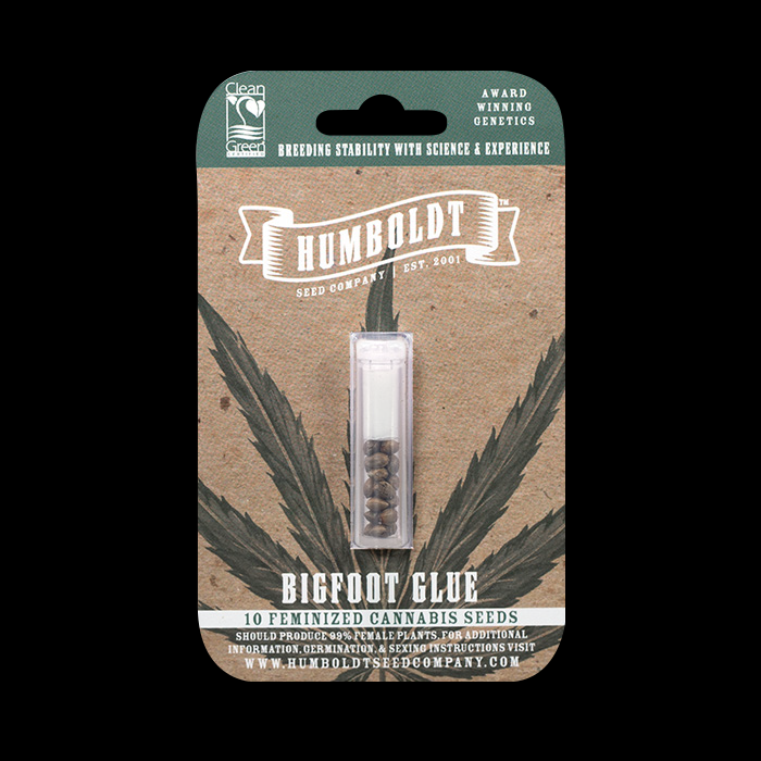 Bigfoot Glue Regular Cannabis Seed Pack