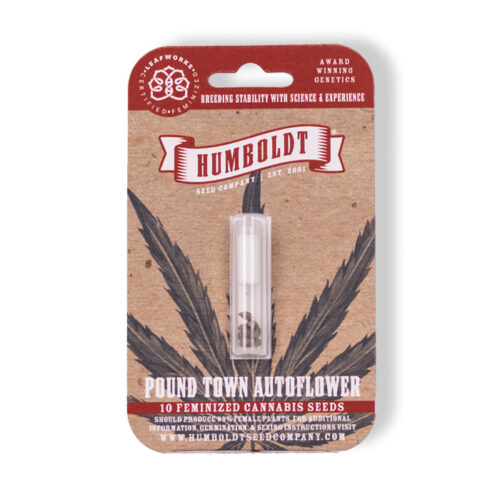 Pound Town Autoflower Cannabis Seed Pack