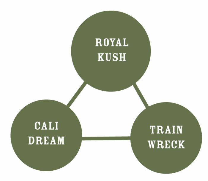 Royal Highness Genetic Tree