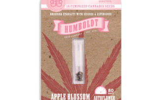 Apple Blossom Auto Web