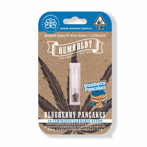Blueberry Pancakes Graphic