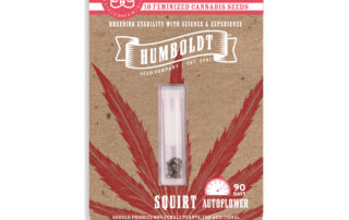 Squirt Auto