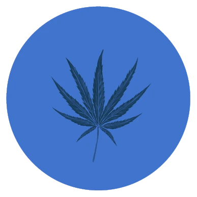 Autoflower Seeds
