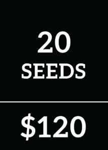 20 Seeds