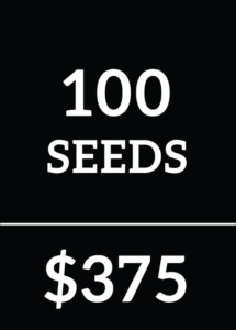 100 Reg Seeds