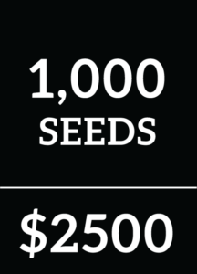 1000 Reg Seeds
