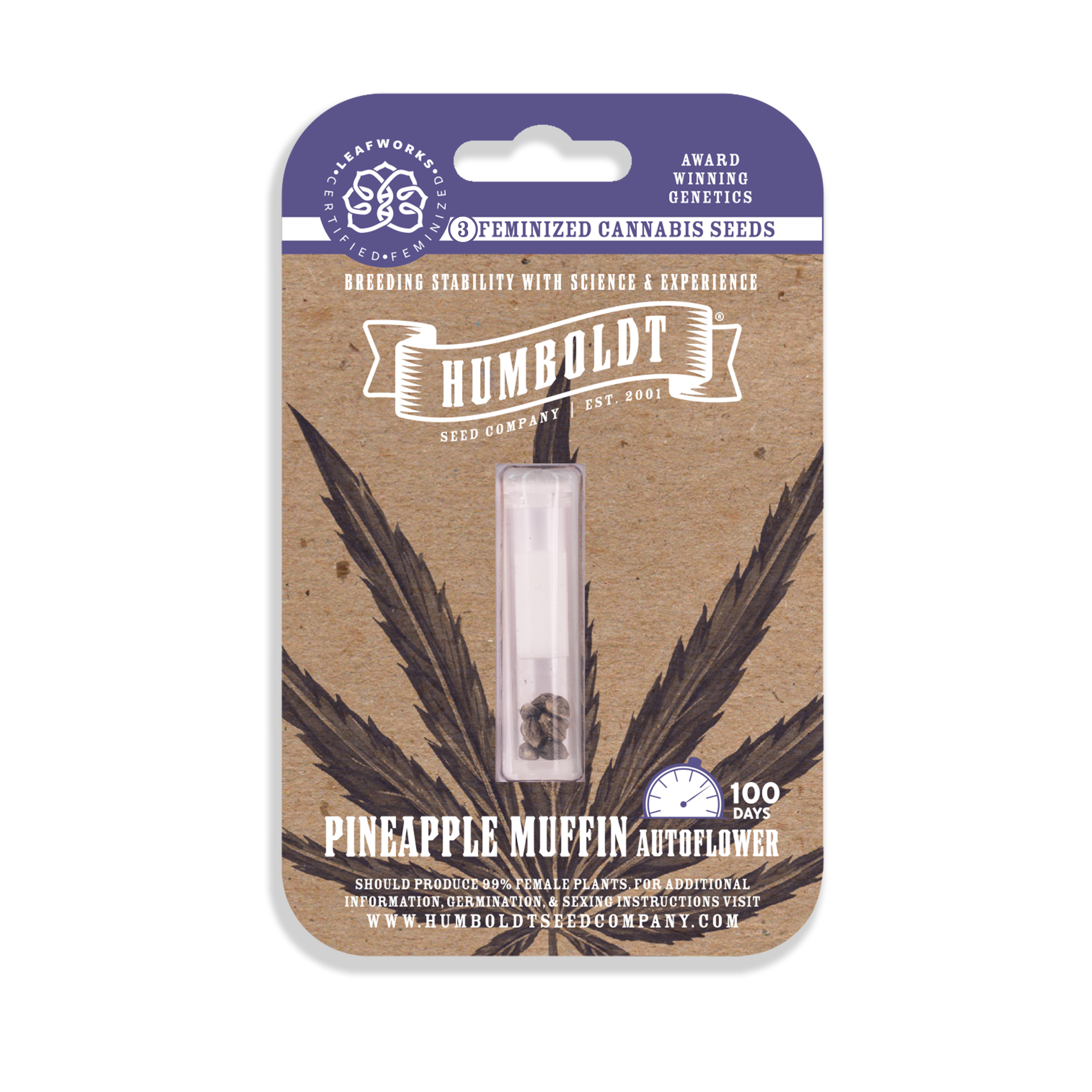 Pineapple Muffin Auto – 3 Seeds