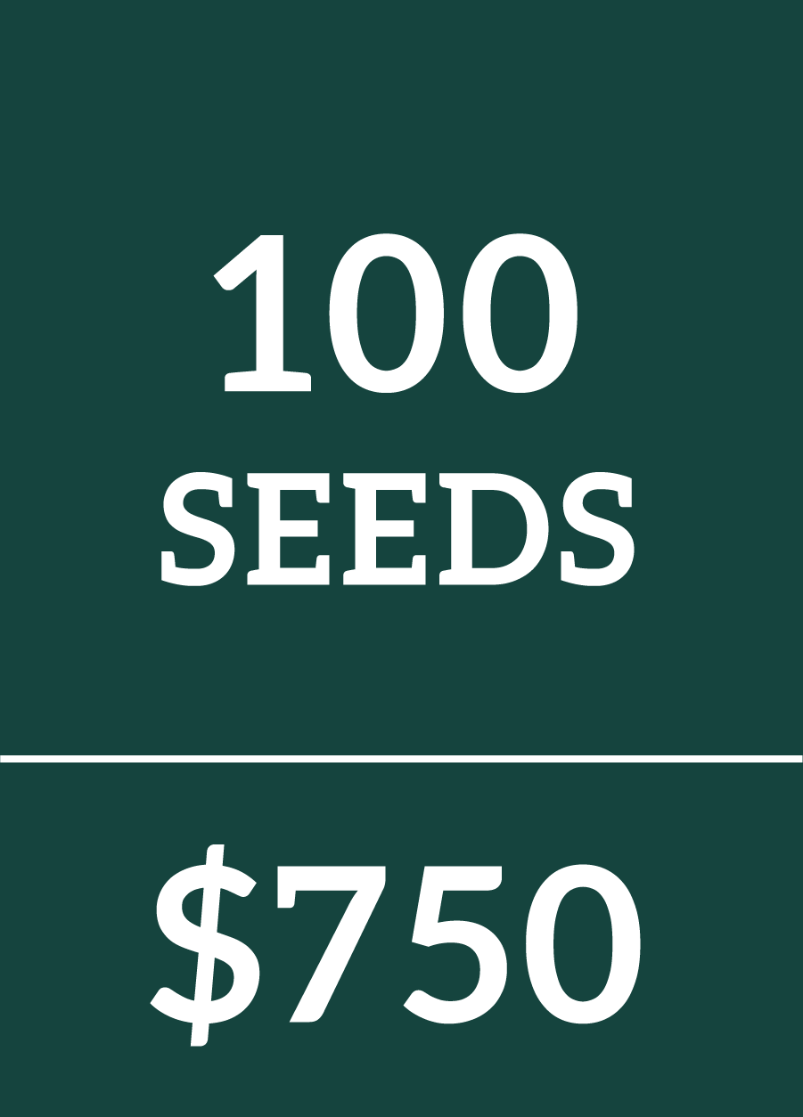 100 Seeds $750