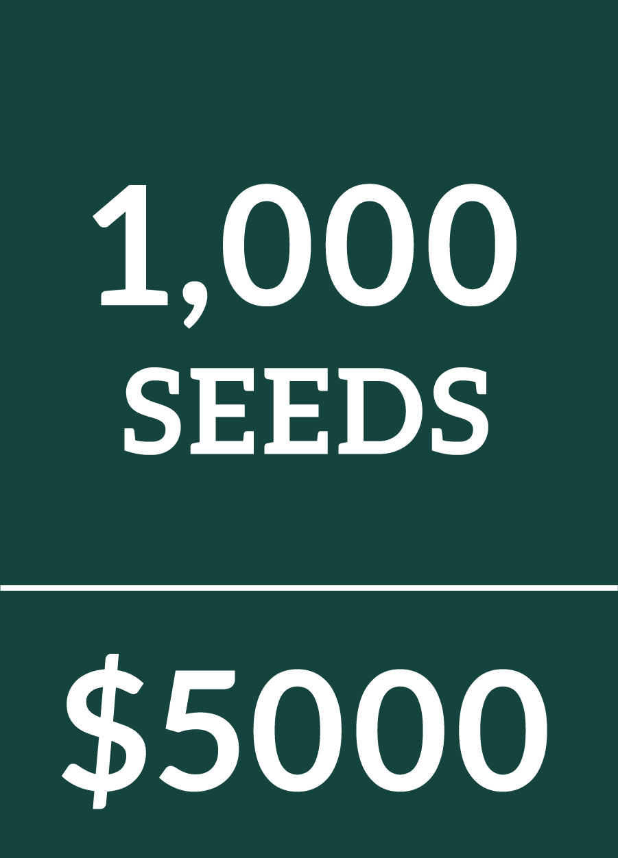 1,000 Cannabis Seeds $5000