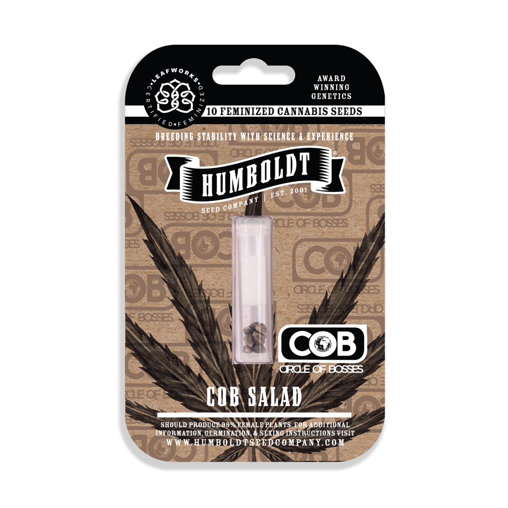 Cob Salad Cannabis Seed Pack
