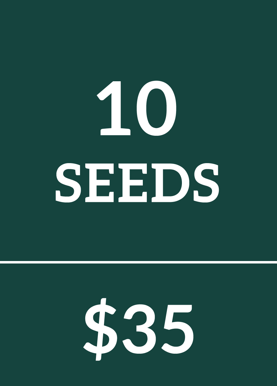 10qty Seeds $35
