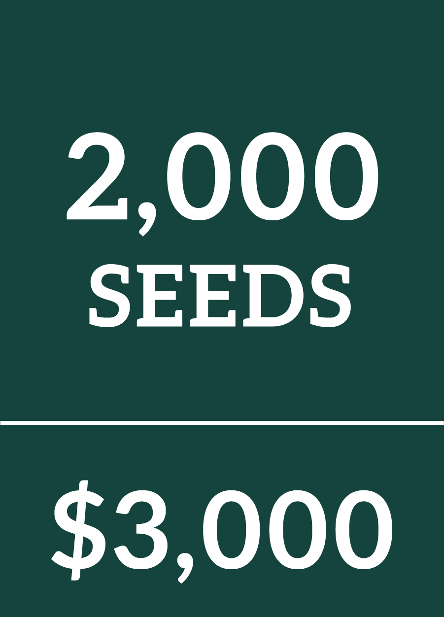 2000 Seeds $3000