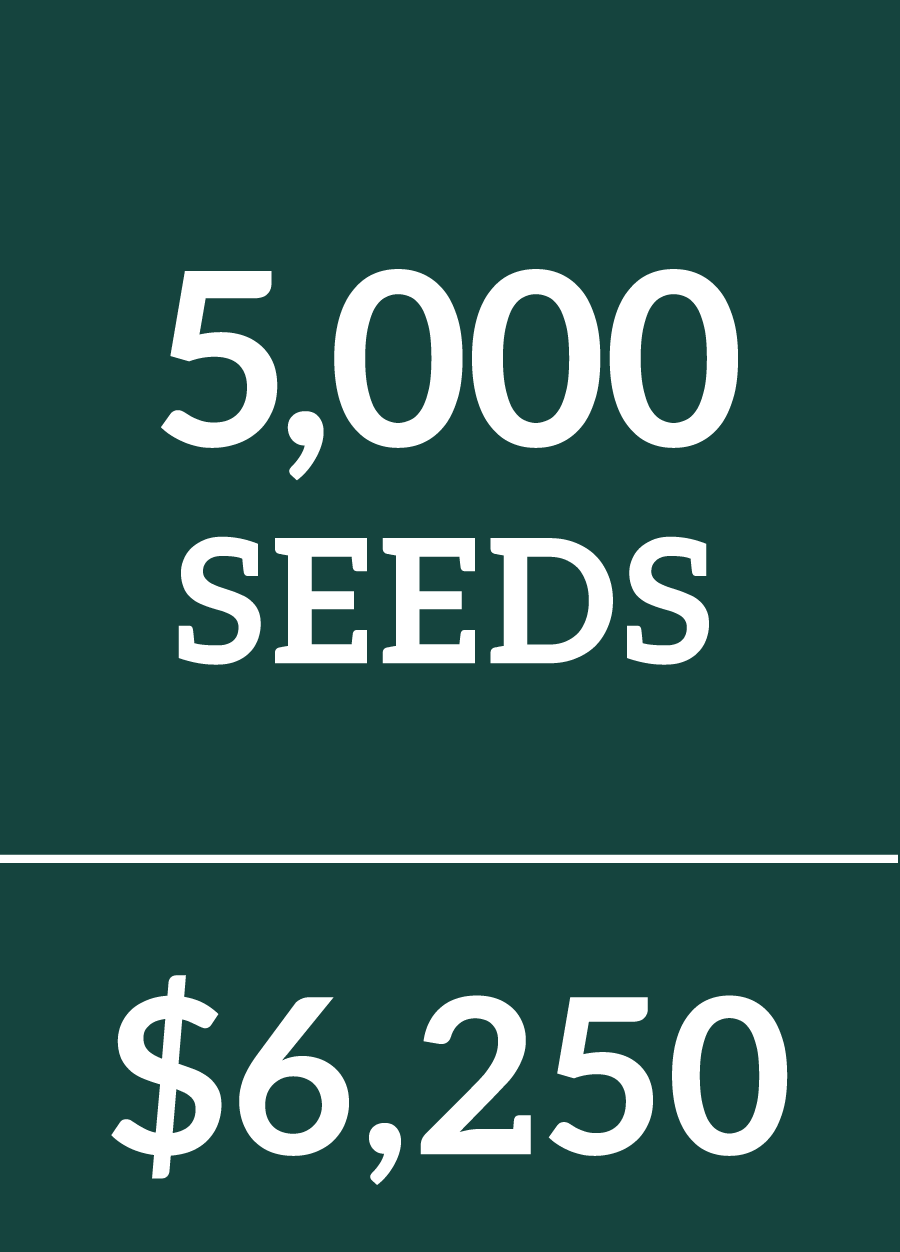 5000 Seeds $6250