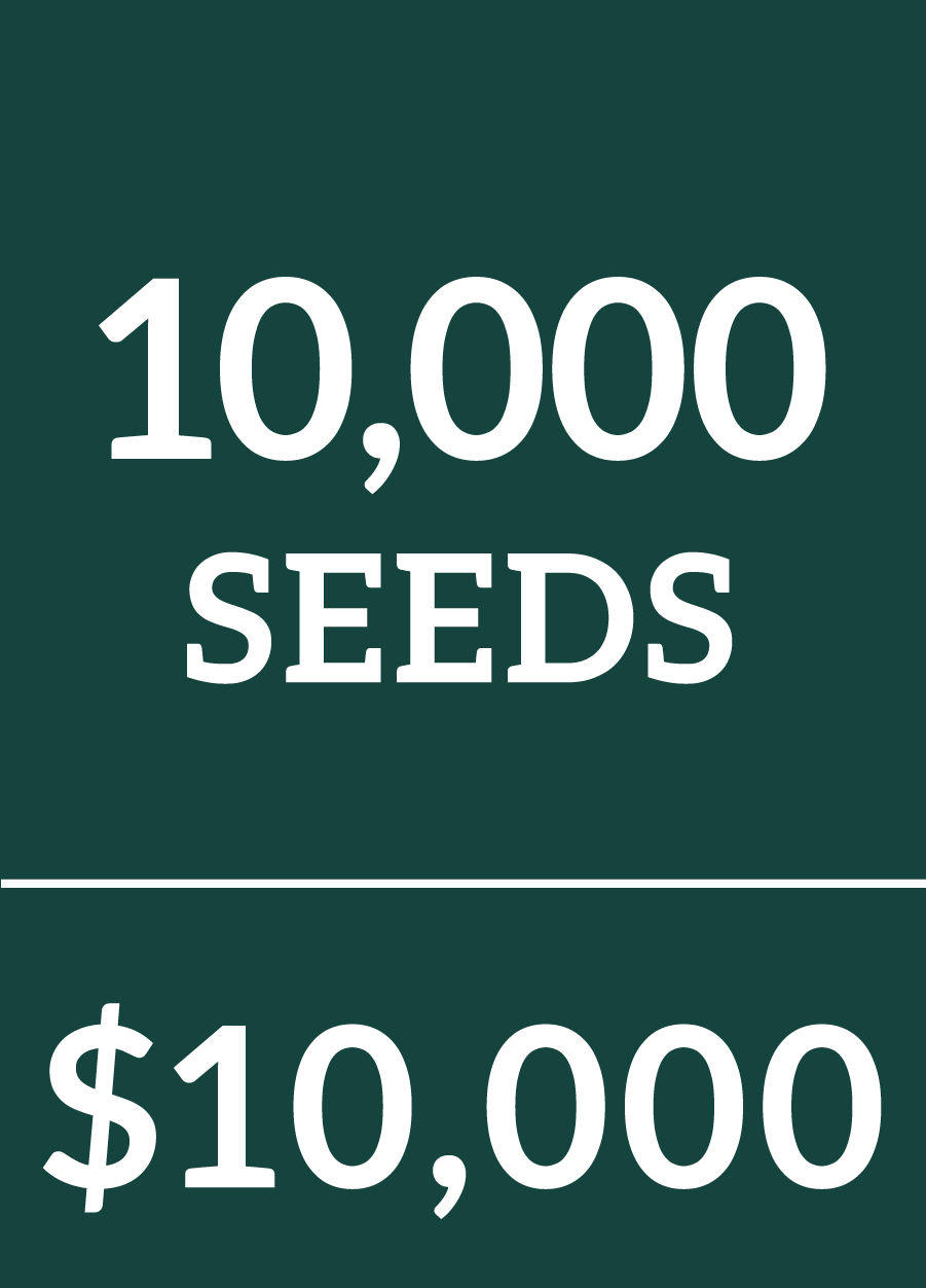 10000 Seeds $10000