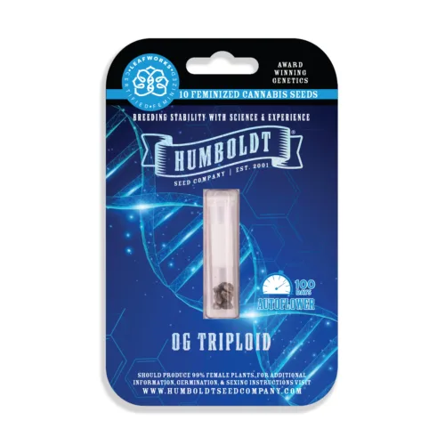 OG Triploid Auto