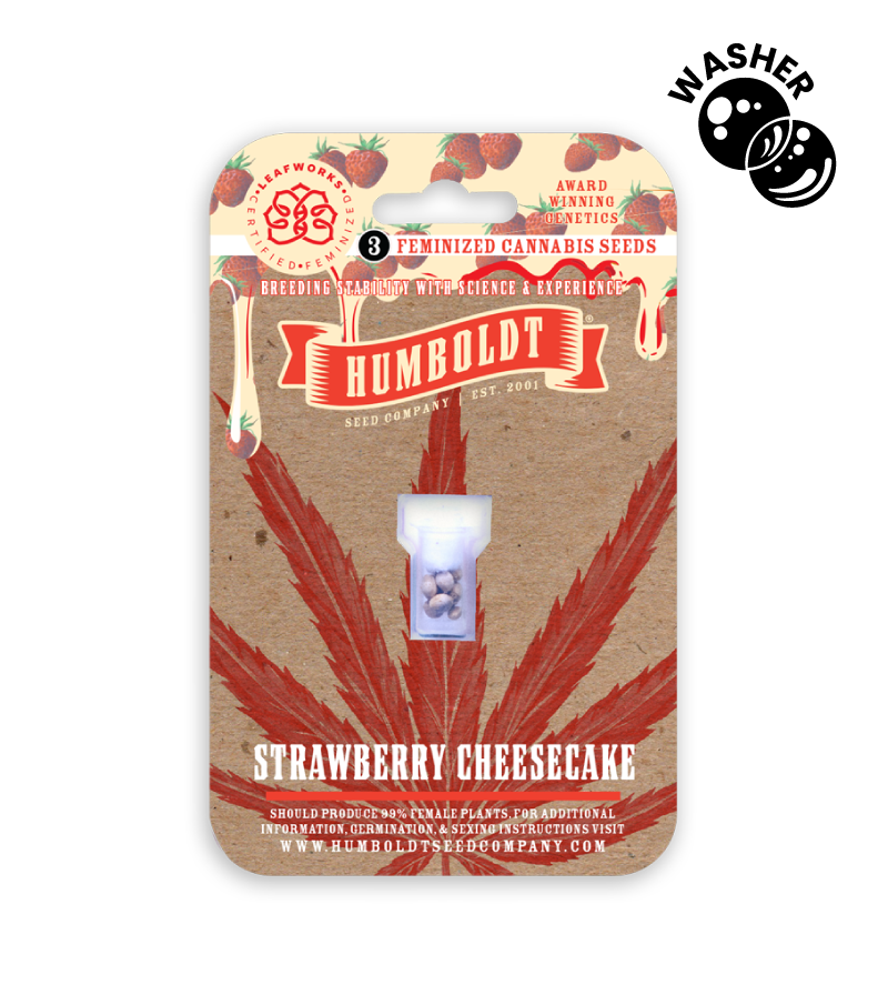 Strawberry Cheesecake