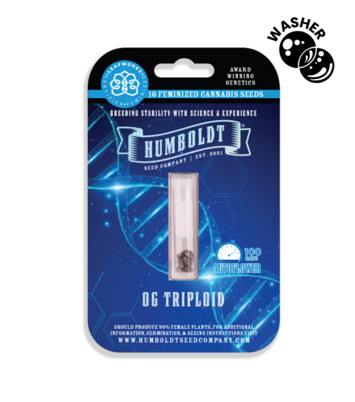 OG Triploid Auto