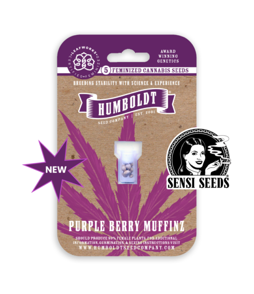 Purple Berry Muffinz